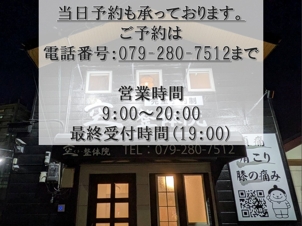イメージ6